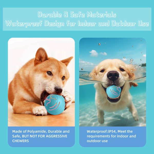 Interactive Dog Ball Toy