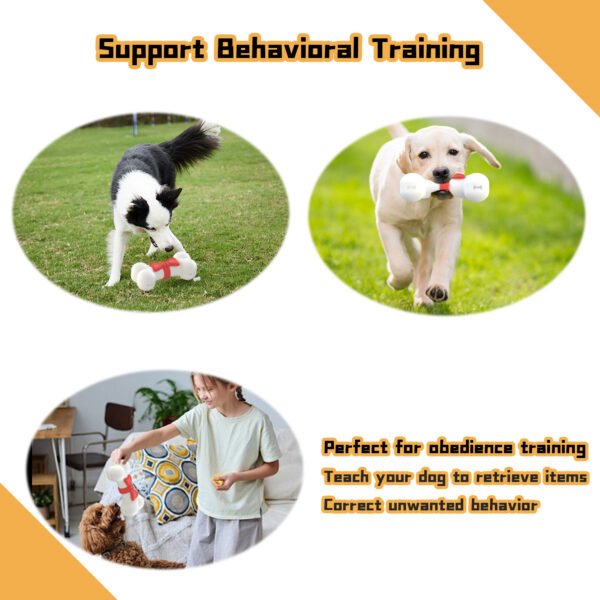 Pet Treat Dispensing Toy - Image 7